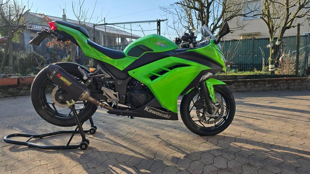 Kawasaki Ninja 300 ABS (2012 - 16) (4)