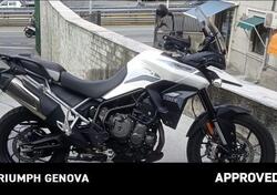 Triumph Tiger 900 GT Pro (2020 - 23) usata