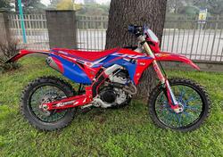 Honda CRF 300 RX Enduro (2019) usata