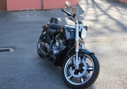 Harley-Davidson 1250 V-Rod Muscle (2009 - 17) - VRSCF usata