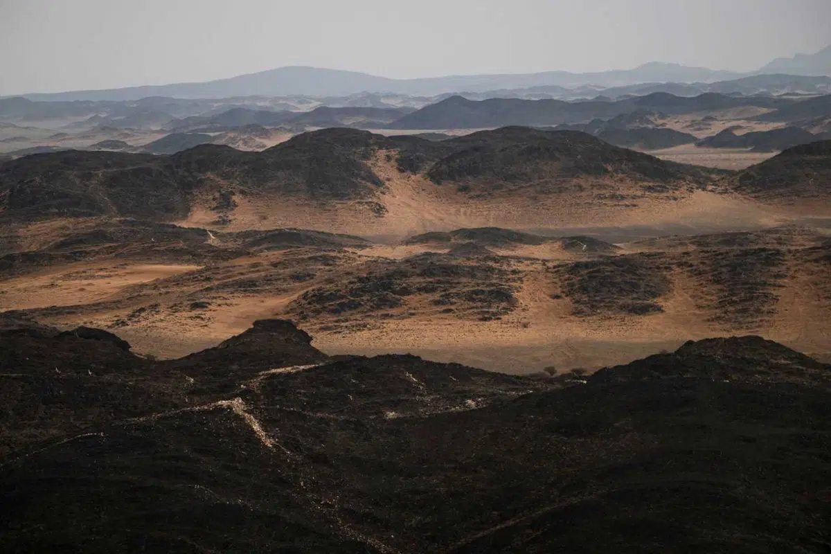Dakar 2025. T8. Bel colpo sincrono di Sanders, KTM, e Latagan, Toyota [VIDEO] (12)