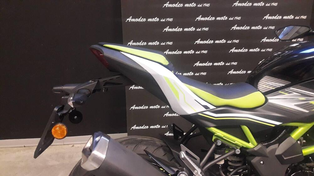 Kawasaki Z 125 (2019 - 20) (3)