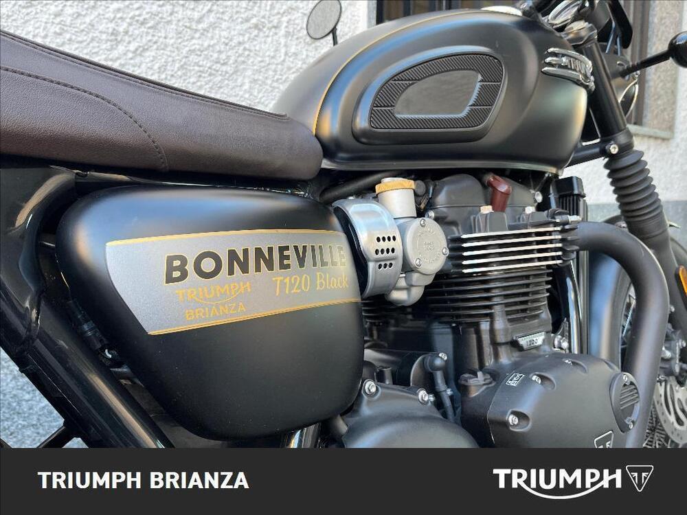 Triumph Bonneville T120 Gold Line Edition (2022 - 23) (4)