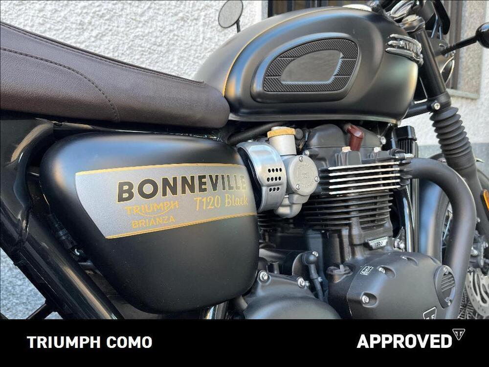 Triumph Bonneville T120 Gold Line Edition (2022 - 23) (4)