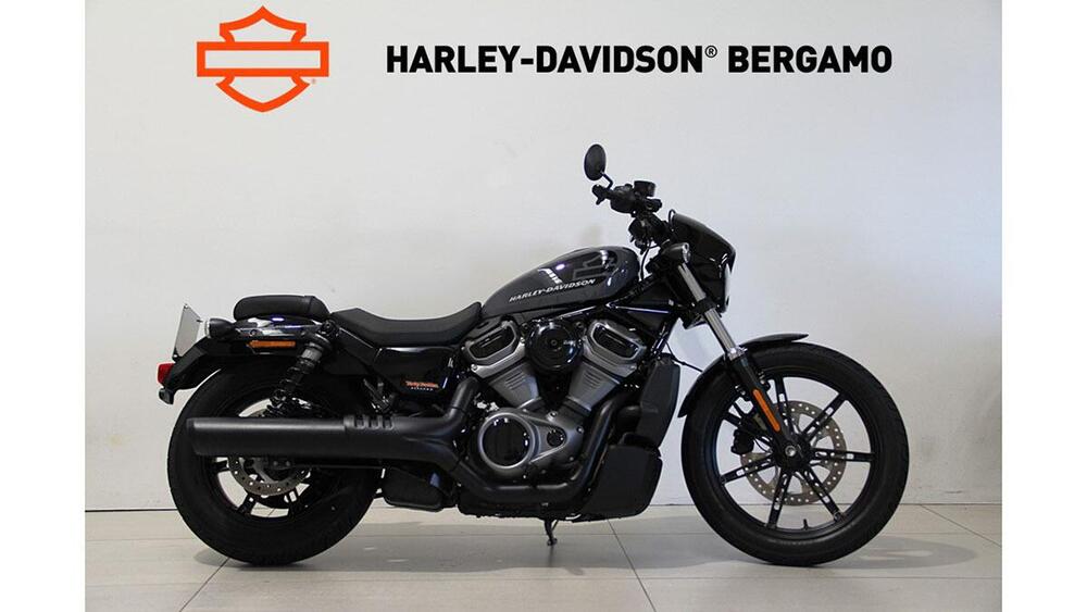 Harley-Davidson Nightster (2023 - 25)