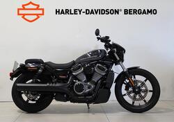 Harley-Davidson Nightster (2023 - 25) usata