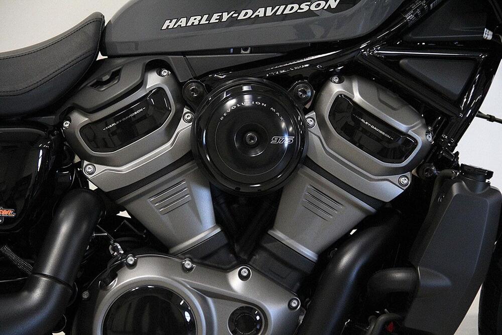 Harley-Davidson Nightster (2023 - 25) (4)