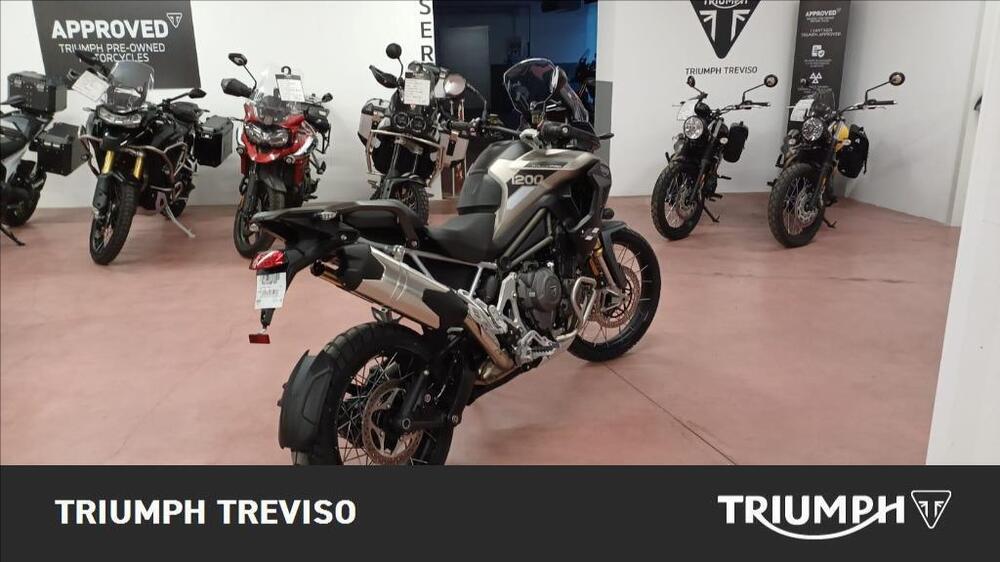 Triumph Tiger 1200 Rally Pro (2024 - 25) (3)