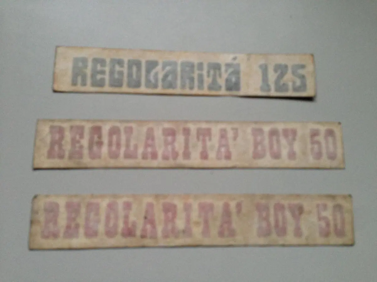 Ricambi SWM (15)