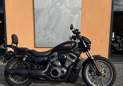 Harley-Davidson Nightster Special (2023 - 25) usata