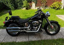 Harley-Davidson 1584 Heritage Classic (2008 - 10) - FLSTC usata