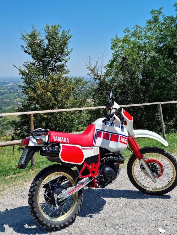 Yamaha Ténéré XT600Z 1VJ (3)