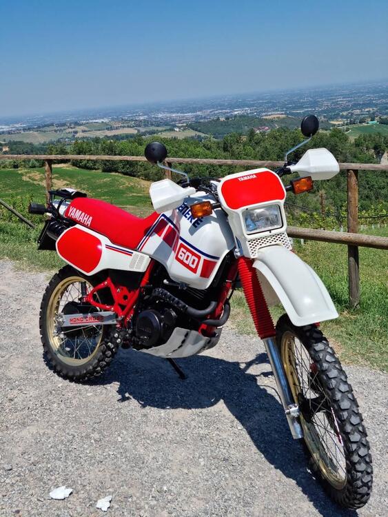 Yamaha Ténéré XT600Z 1VJ