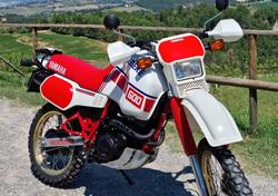 Yamaha Ténéré XT600Z 1VJ d'epoca