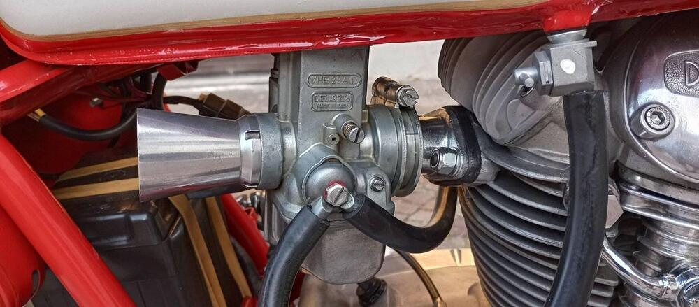 Ducati  DUCATI 250 MARK3 1969 (4)