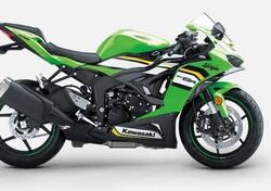 Kawasaki Ninja 636 ZX-6R (2024 - 25) nuova