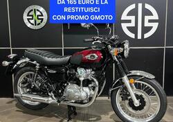 Kawasaki W 800 (2021 - 25) nuova