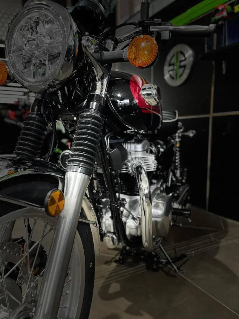 Kawasaki W 800 (2021 - 26) (6)