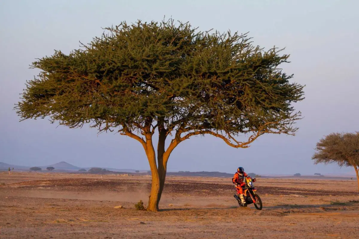 Dakar 2025. T9. Sanders, KTM, resiste, Al Rajhi, Toyota, passa al comando [VIDEO] (3)