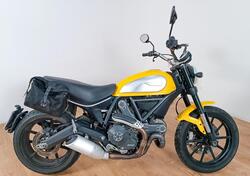 Ducati Scrambler 800 Icon (2015 - 16) usata