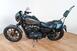 Harley-Davidson 883 Iron (2009 - 11) - XL 883N (6)