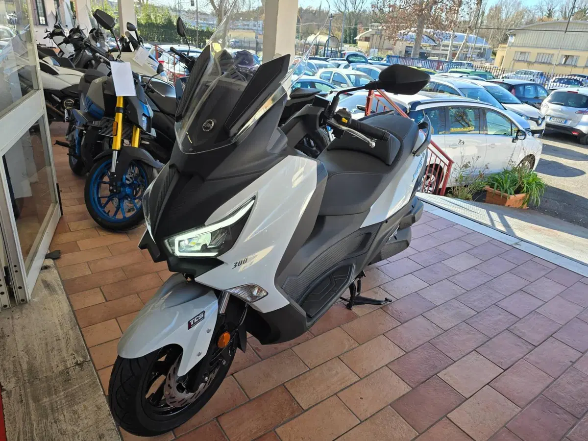 Sym Joymax 300 Z+ (2021 - 24) (2)