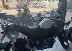 Suzuki V-Strom 650XT (2021 - 25) nuova