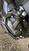 Bmw R 1300 GS (2023 - 25) (14)