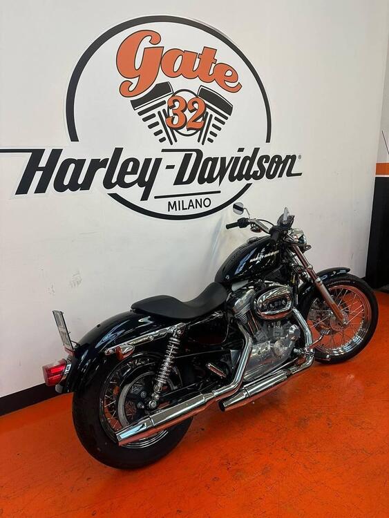 Harley-Davidson 883 (2006 - 07) - XL (3)