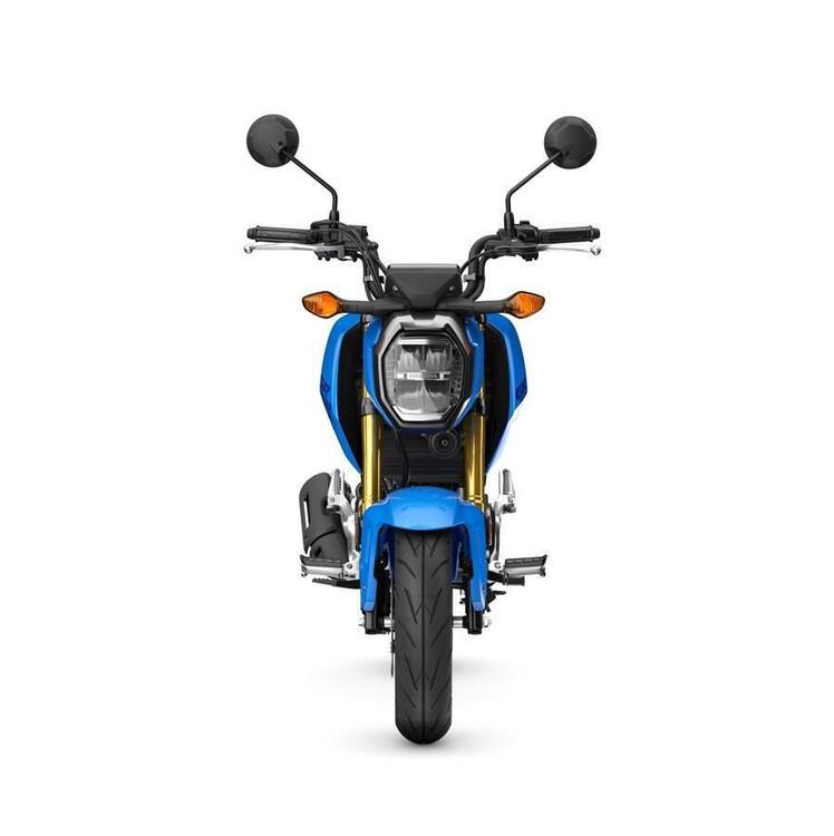 Honda MSX 125 Grom (2021 - 25) (4)