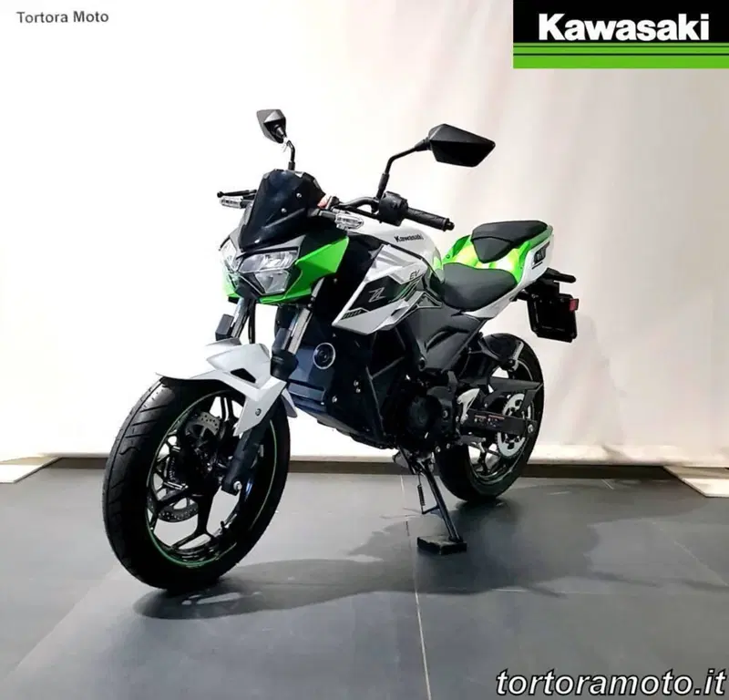 Kawasaki Z e-1 (2024 - 26) (3)