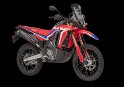 Honda CRF 300 Rally (2021 - 24) nuova