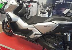 Honda ADV 350 (2022 - 24) usata