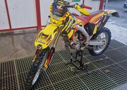 Suzuki RM-Z 250 (2008 - 11) usata