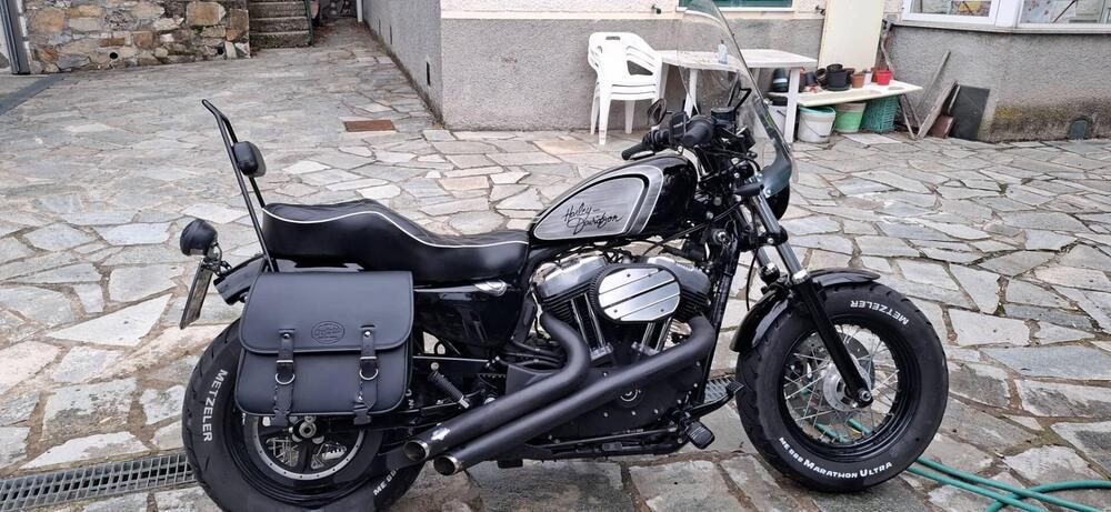 Harley-Davidson 1200 Forty-Eight (2010 - 15) (2)