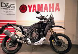 Yamaha Ténéré 700 World Raid (2022 - 25) usata