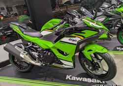 Kawasaki Ninja 500 SE (2024 - 25) nuova