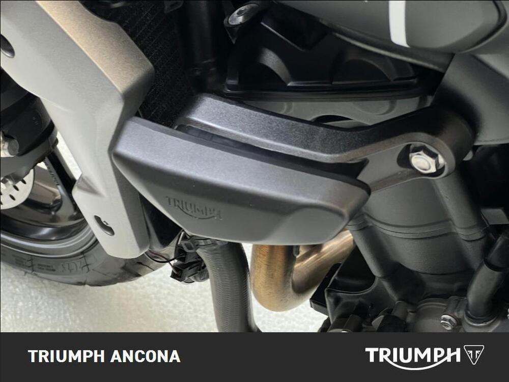 Triumph Trident 660 (2021 - 24) (3)