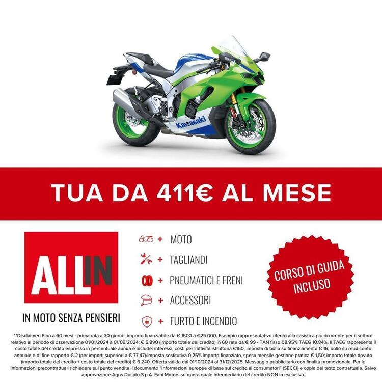 Kawasaki Ninja 1000 ZX-10R 40th Anniversary Edition (2024) (2)