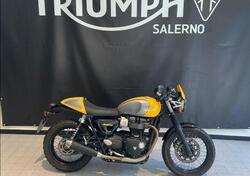 Triumph Street Cup 900 (2017 - 19) usata