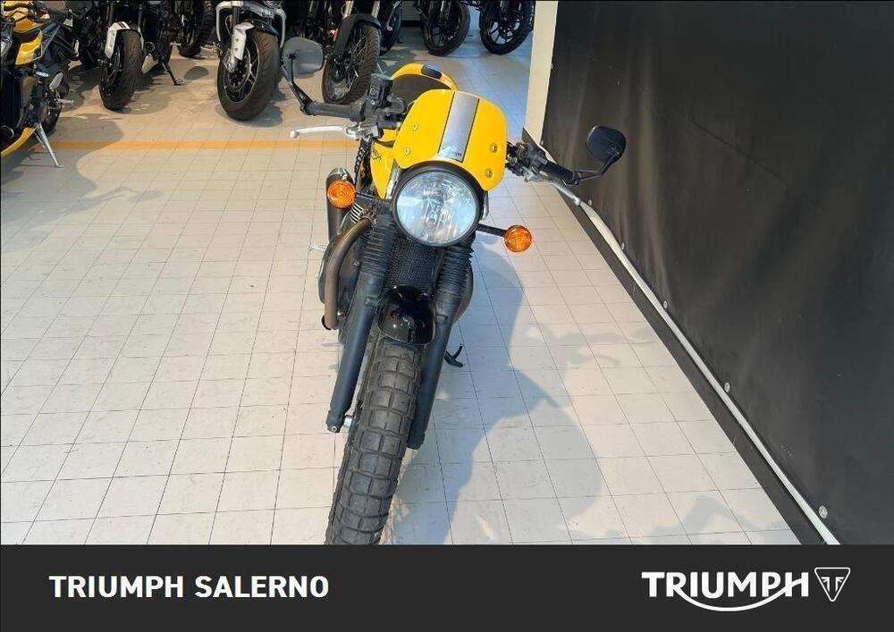 Triumph Street Cup 900 (2017 - 19) (3)