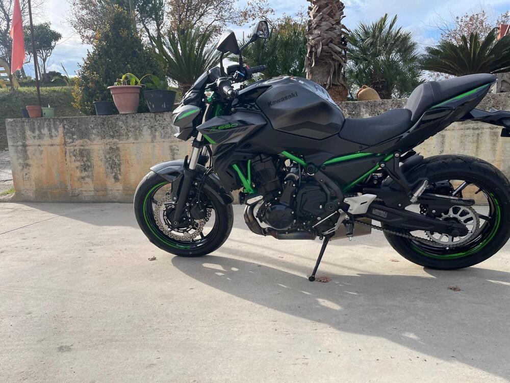 Kawasaki Z 650 (2021 - 24)