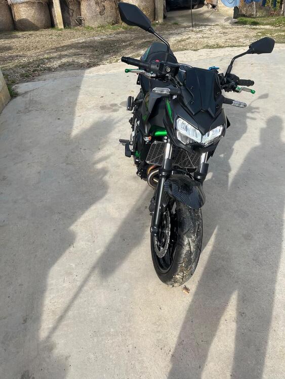 Kawasaki Z 650 (2021 - 24) (5)