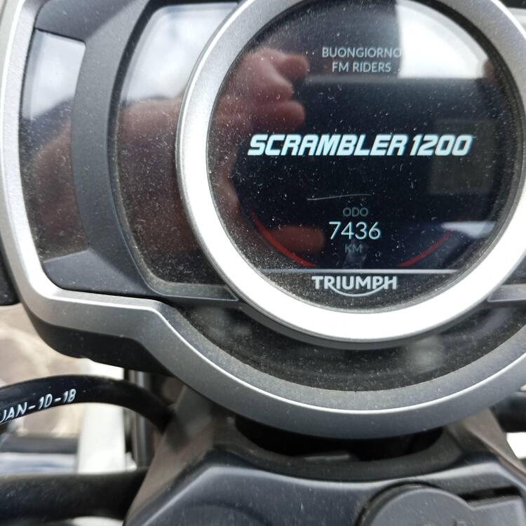 Triumph Scrambler 1200 XC (2019 - 20) (4)