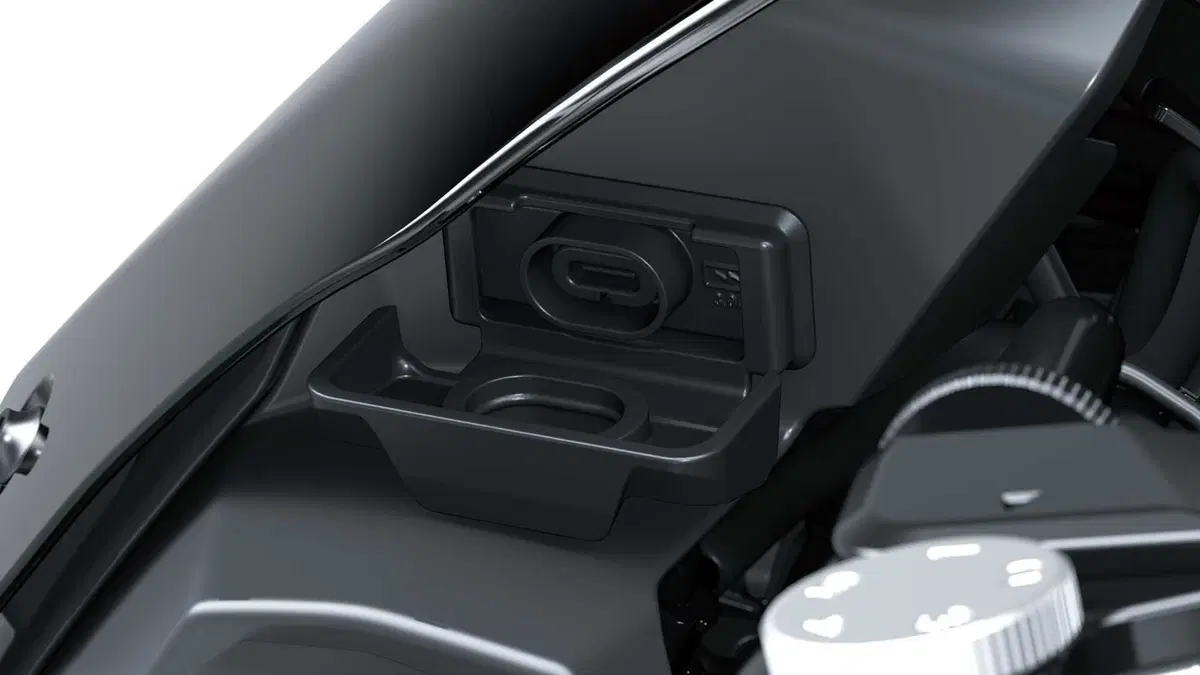 Kawasaki Z 900 Z 900 SE (2025 - 26) (12)