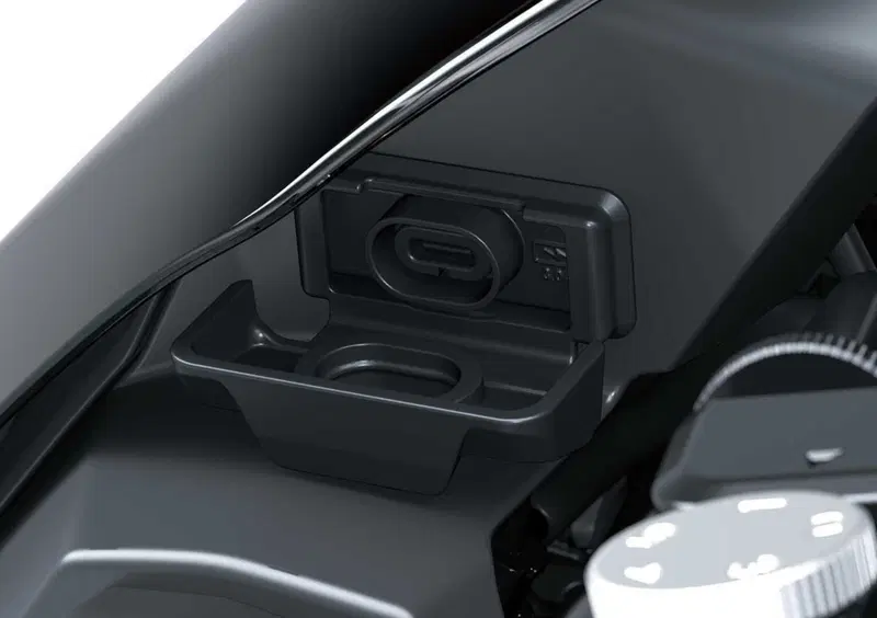 Kawasaki Z 900 Z 900 SE (2025 - 26) (12)