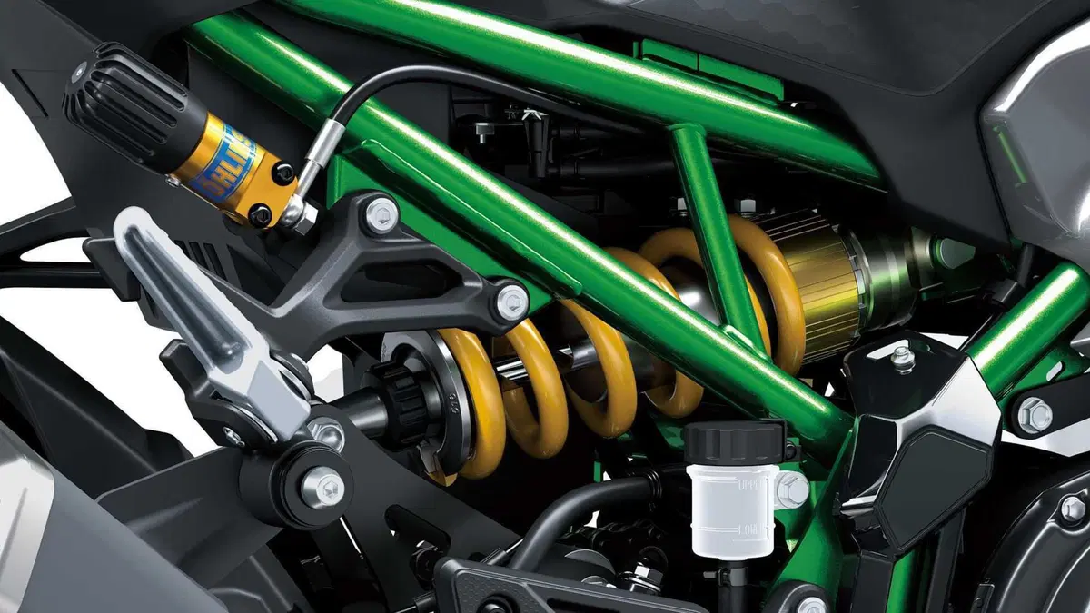 Kawasaki Z 900 Z 900 SE (2025 - 26) (9)