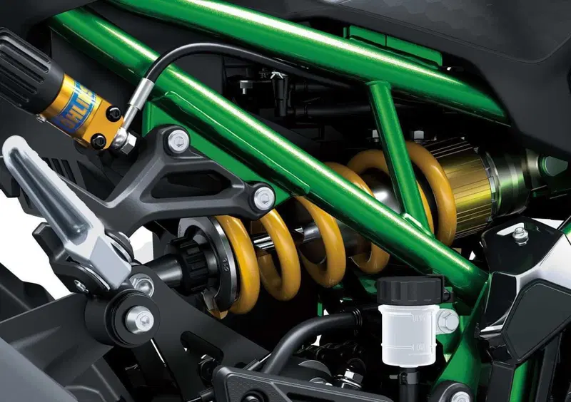 Kawasaki Z 900 Z 900 SE (2025 - 26) (9)