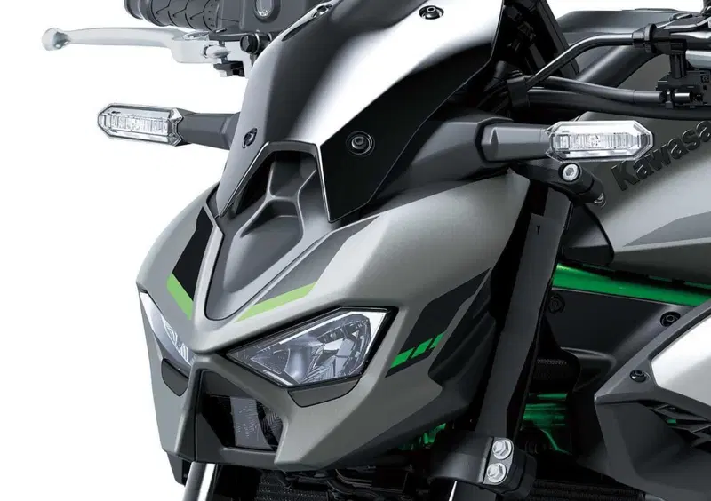 Kawasaki Z 900 Z 900 (2025 - 26) (11)