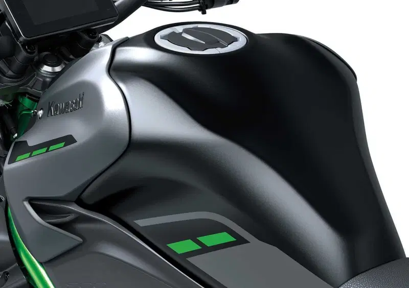 Kawasaki Z 900 Z 900 (2025 - 26) (13)